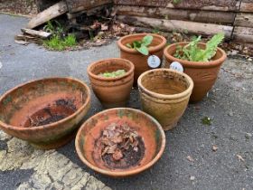 Collection of six various terracotta pots