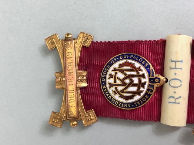 Masonic Medal with Blue enamel detailing on 9ct Gold with ribbon and clasp for the Royal Order of - Image 11 of 18