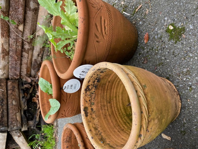 Collection of six various terracotta pots - Image 3 of 3