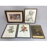 Collection of decorative framed prints, one of race horses, 2 of Roses, one of a dog, one