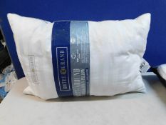 1 HOTEL GRAND DOUBLE TOP GOOSE FEATHER & GOOSE DOWN PILLOW RRP Ã‚Â£29.99