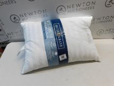 1 BLUE RIDGE HOME FASHIONS PILLOW RRP Â£22.99