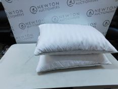 1 PAIR OF HOTEL GRAND DOUBLE TOP GOOSE FEATHER & GOOSE DOWN PILLOW RRP Â£19.99