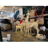 1 INDOOR/OUTDOOR CHRISTMAS REINDEER FAMILY - SET OF 3 WITH LED LIGHTS RRP Â£199 (WORKING)