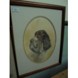 Framed watercolour of a liver and white Spaniel dog with retrieved partridge in mouth,