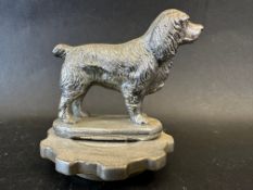 A car mascot in the form of a spaniel, radiator cap mounted, approx. 4" tall overall.