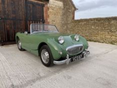 1961 Austin-Healey Sprite Reg: VCO87 Chassis No. TBC Engine No. TBC