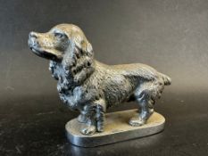 A car mascot in the form of a spaniel, approx. 3 1/4" wide/2 1/2" tall.