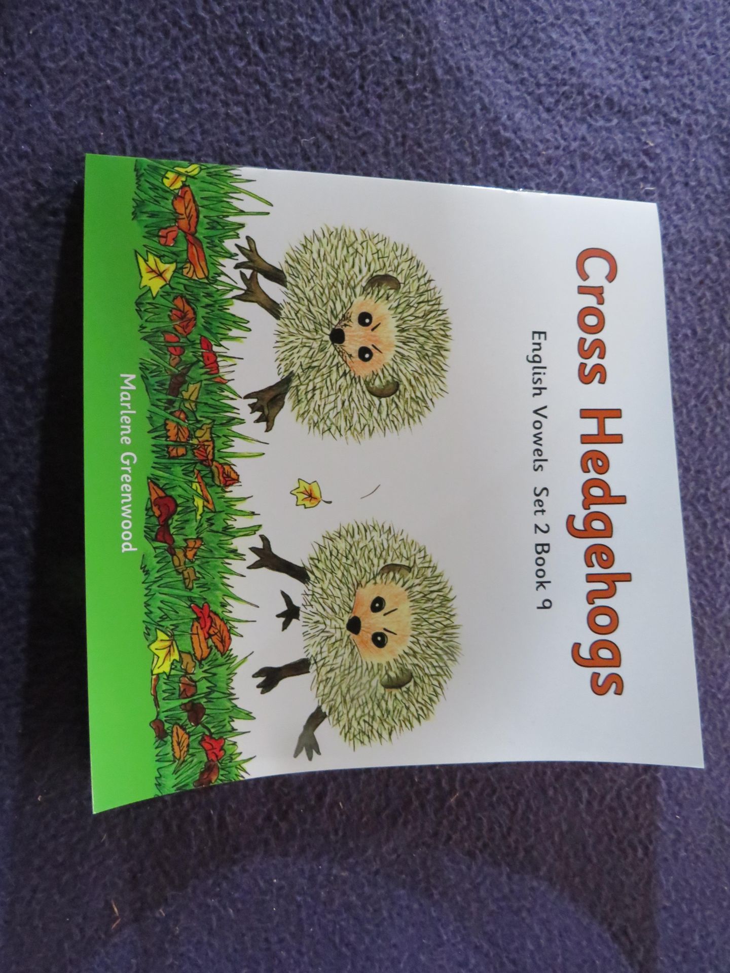 75x Marlene Greenwood - English Vowels Cross Hedgehogs Books - Unused.