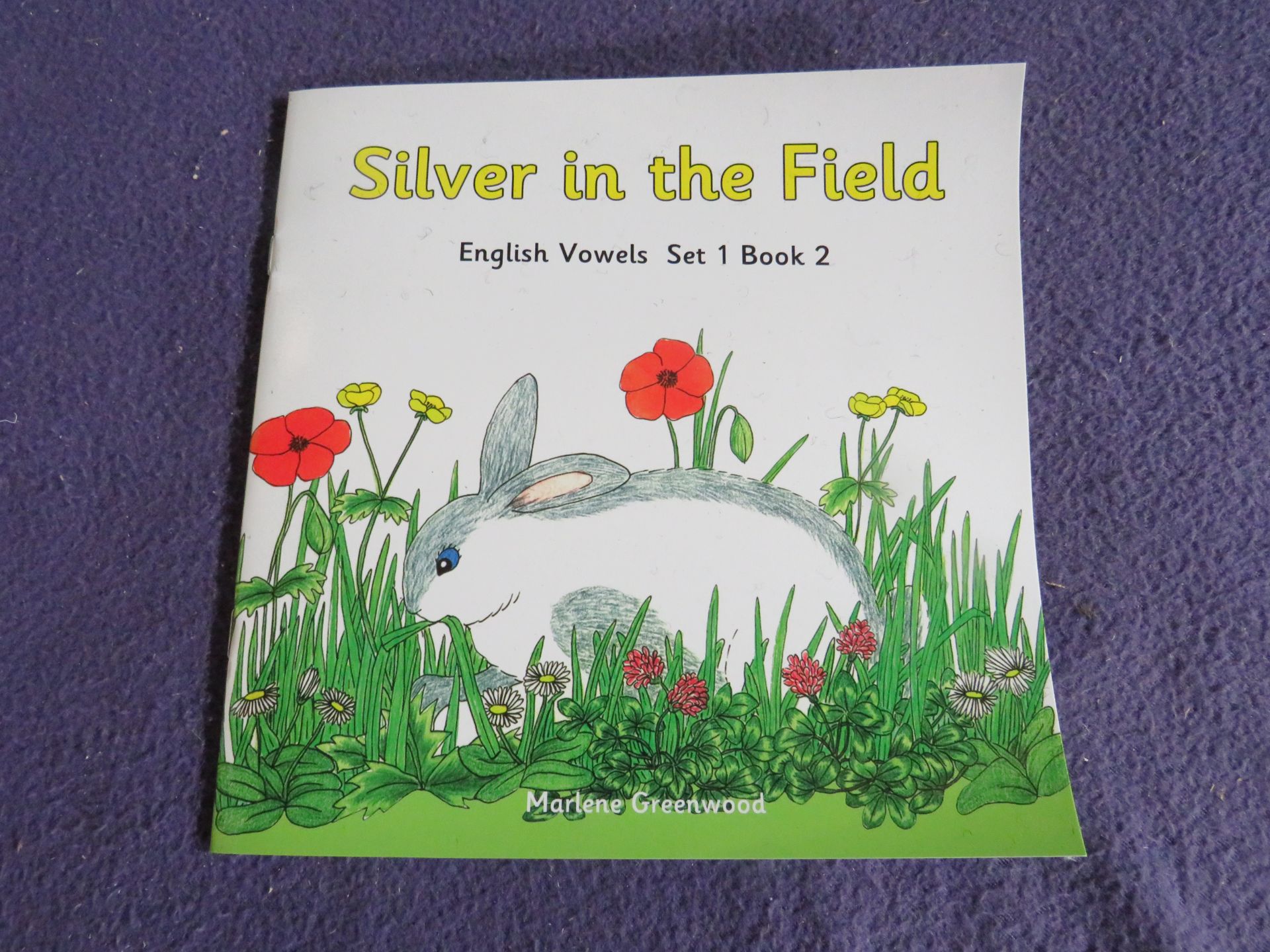 75x Marlene Greenwood - English Vowels Silver in the Field Books - Unused.