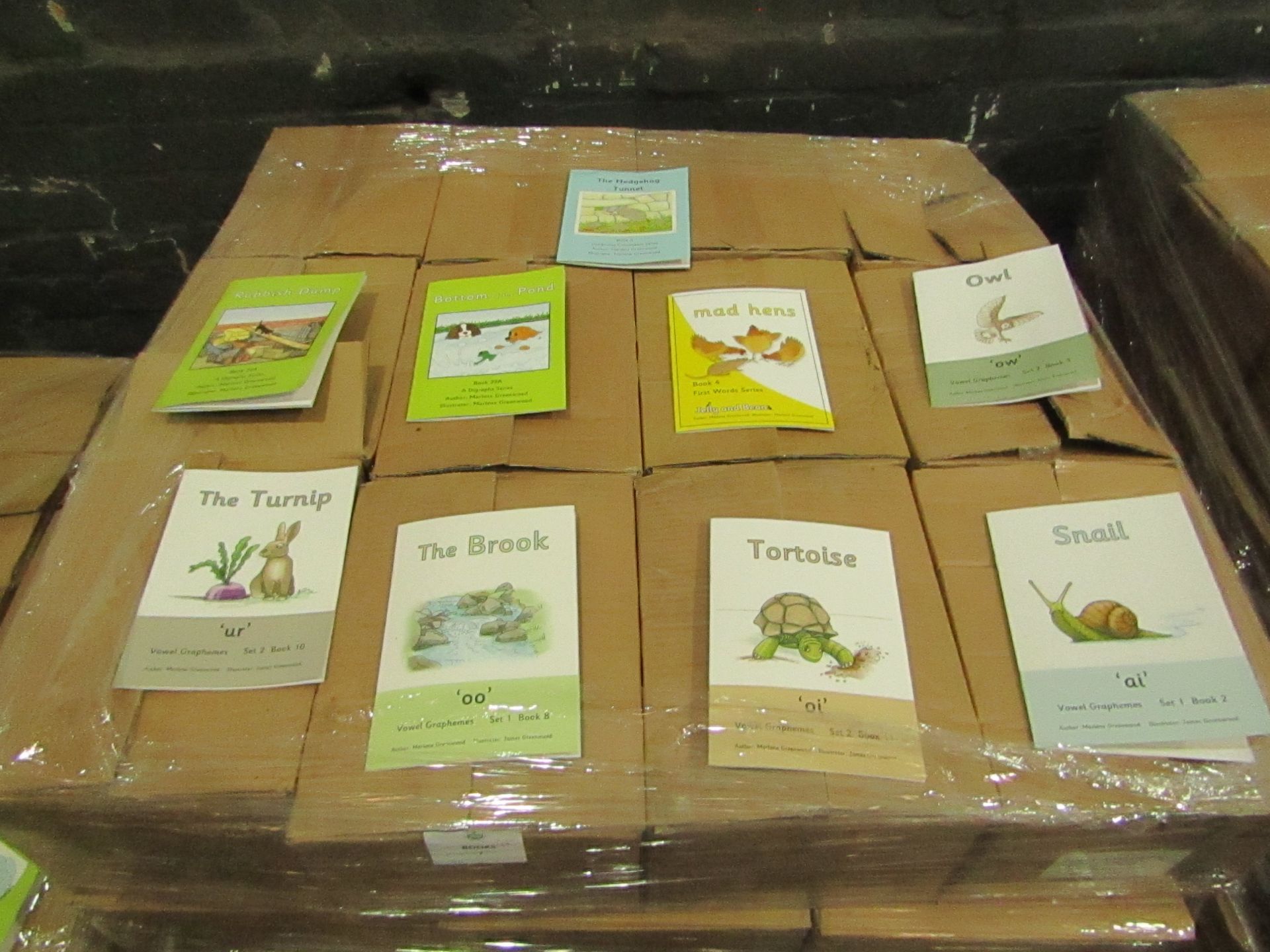 1X Pallet Containing 48x Boxes being : Children's Educational Books, Vowel / Vowel Graphemes