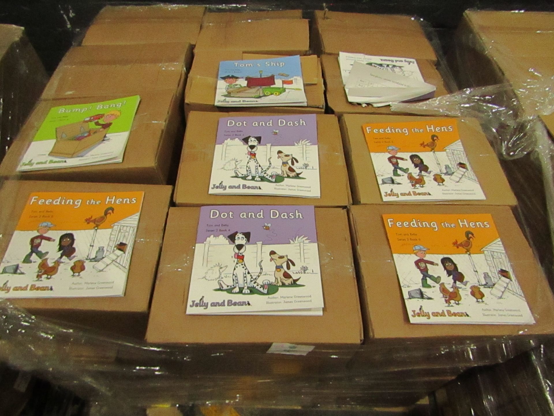 1X Pallet Containing 48x Boxes being : Children's Educational Books, Vowel / Vowel Graphemes