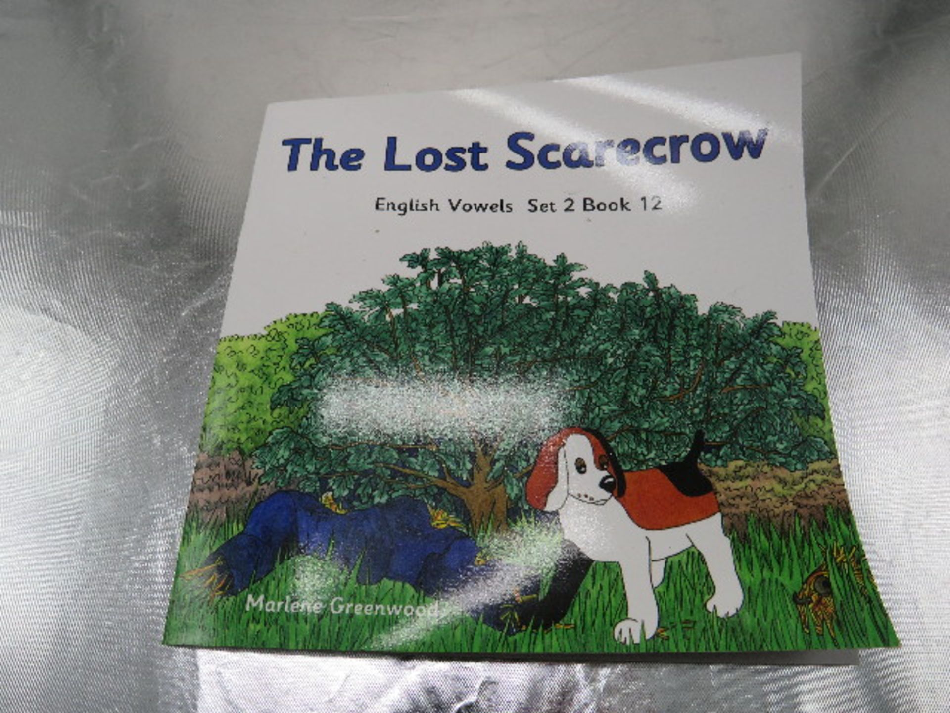 2x Boxes Containing Approx 75x Marlene Greenwood - English Vowels The Lost Scarecrow Books -