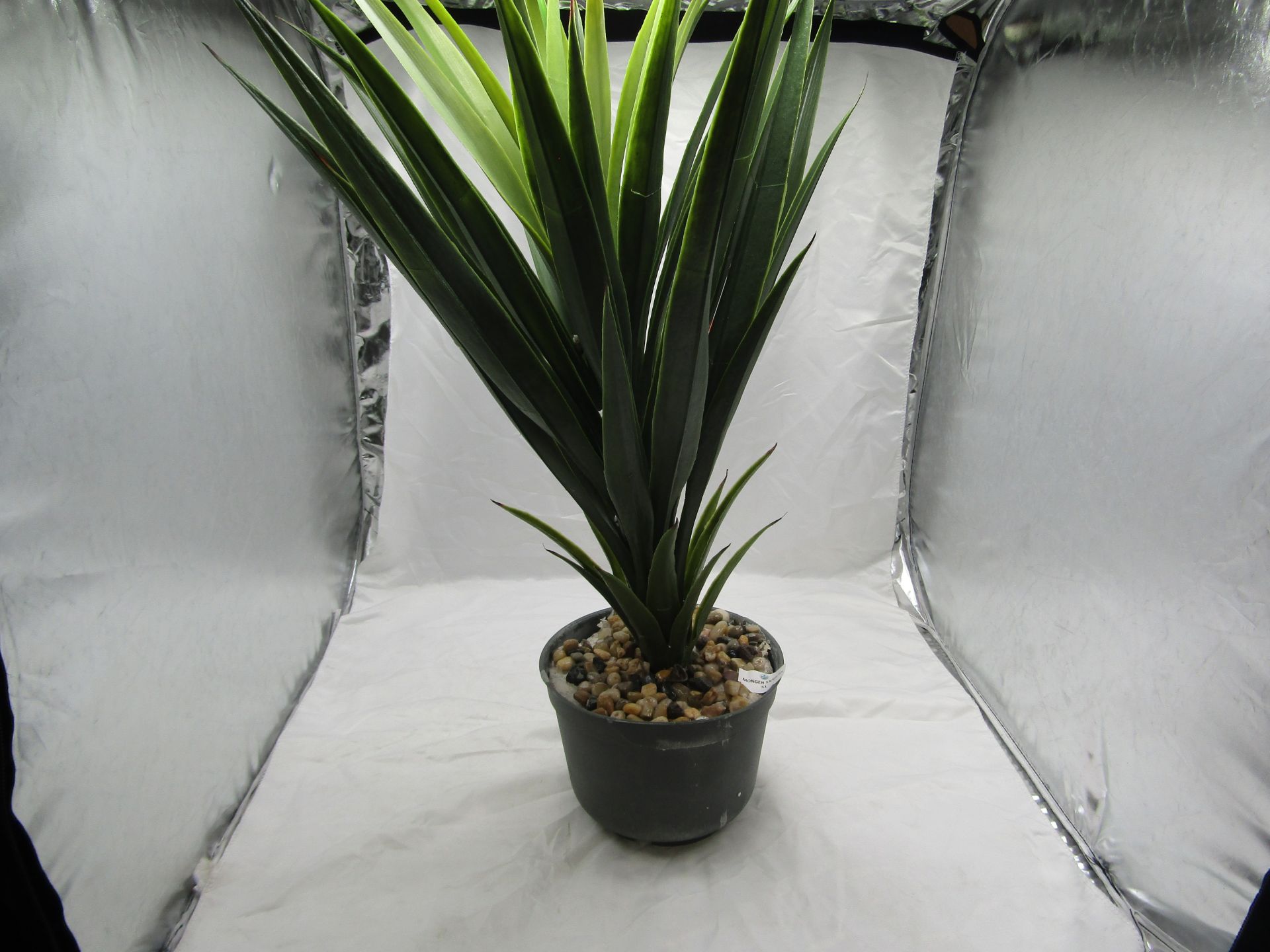 Artificial Plant - Slightly Loose from Pot - No Packaging.