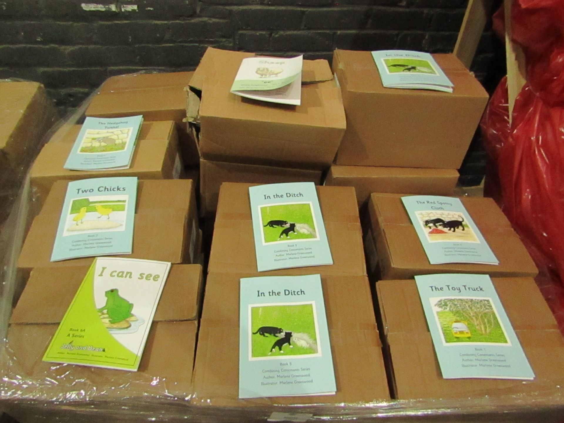 1X Pallet Containing 48x Boxes being : Children's Educational Books, Vowel / Vowel Graphemes