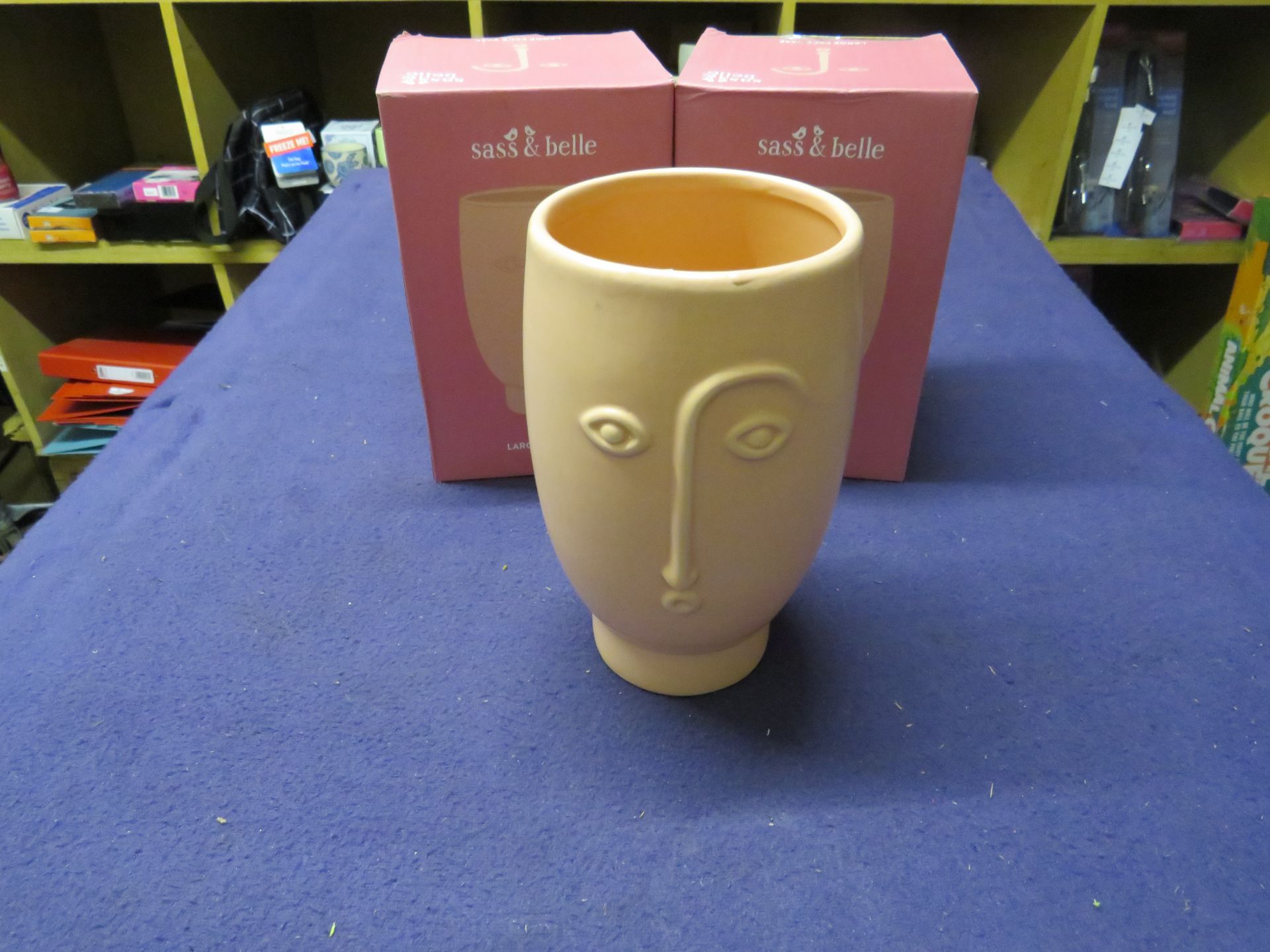 2x Sass & Belle - Large Pink Face Vase - Unused & Boxed.