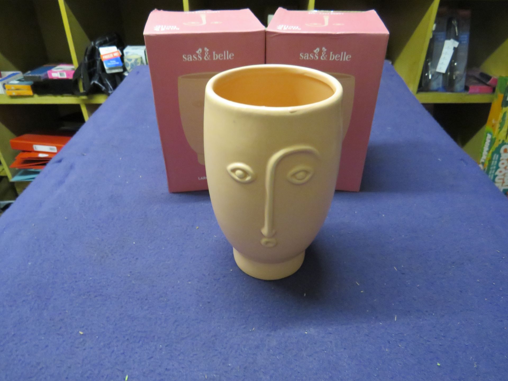 2x Sass & Belle - Large Pink Face Vase - Unused & Boxed.