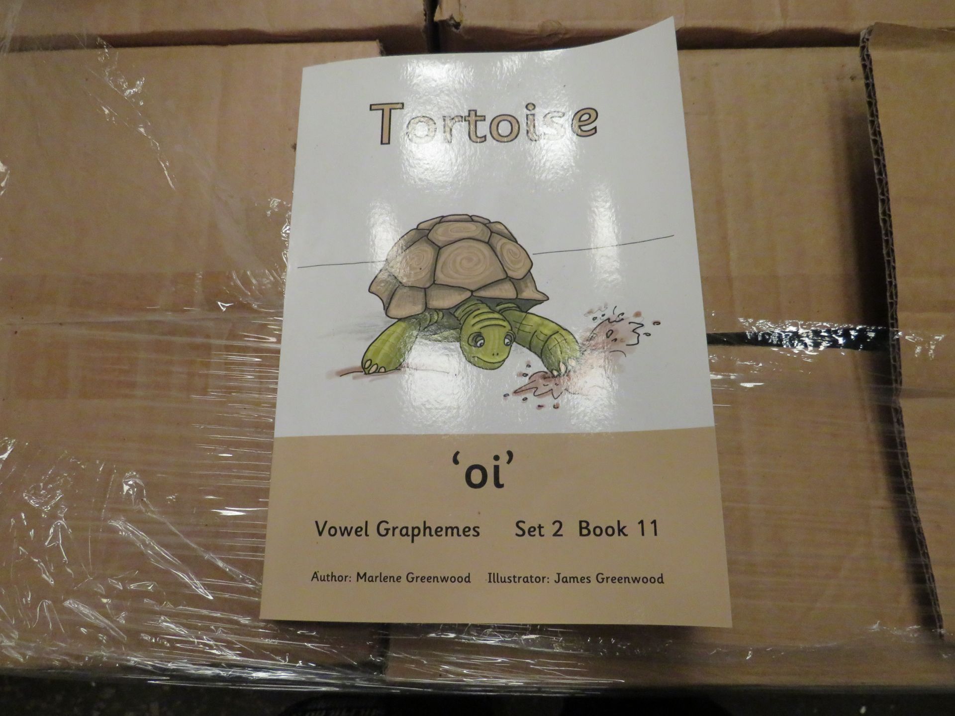 1X Pallet Containing 48x Boxes being : Children's Educational Books, Vowel / Vowel Graphemes - Image 7 of 7