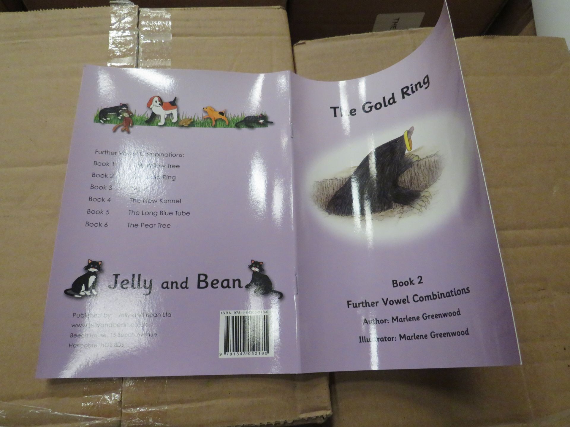 1X Pallet Containing 48x Boxes being : Children's Educational Books, Vowel / Vowel Graphemes - Image 4 of 5