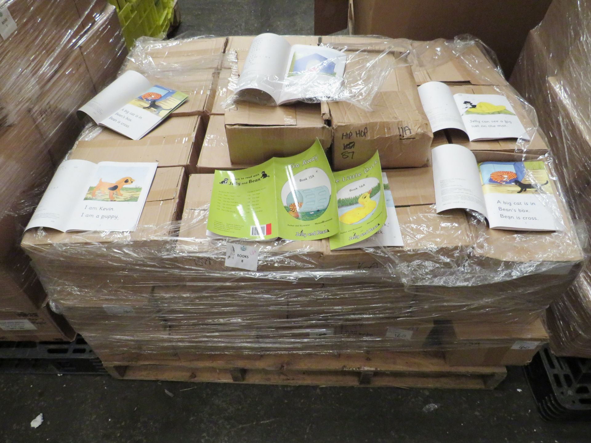 1X Pallet Containing 44x Boxes being : Children's Educational Books, Vowel / Vowel Graphemes