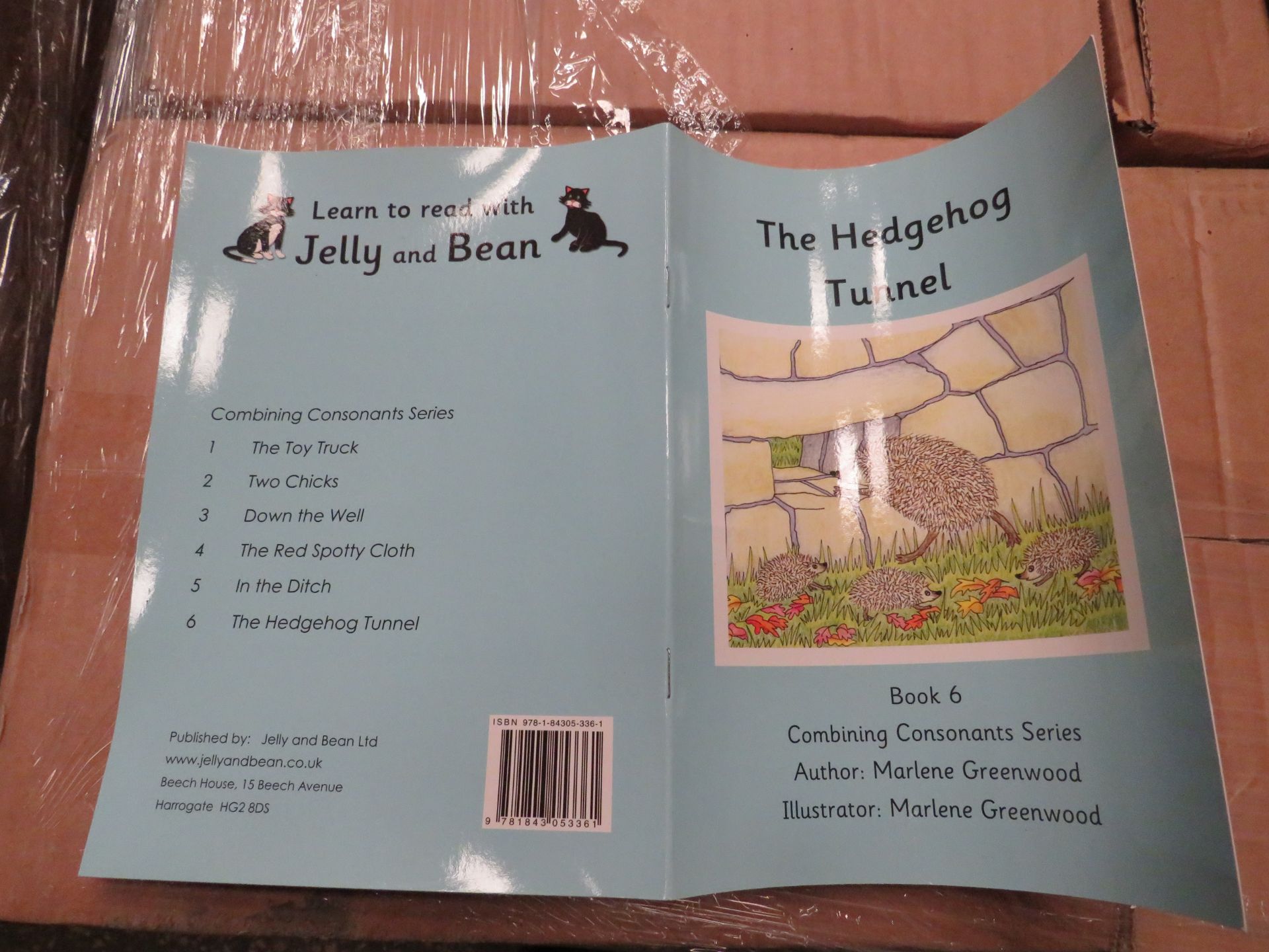 1X Pallet Containing 48x Boxes being : Children's Educational Books, Vowel / Vowel Graphemes - Image 3 of 7