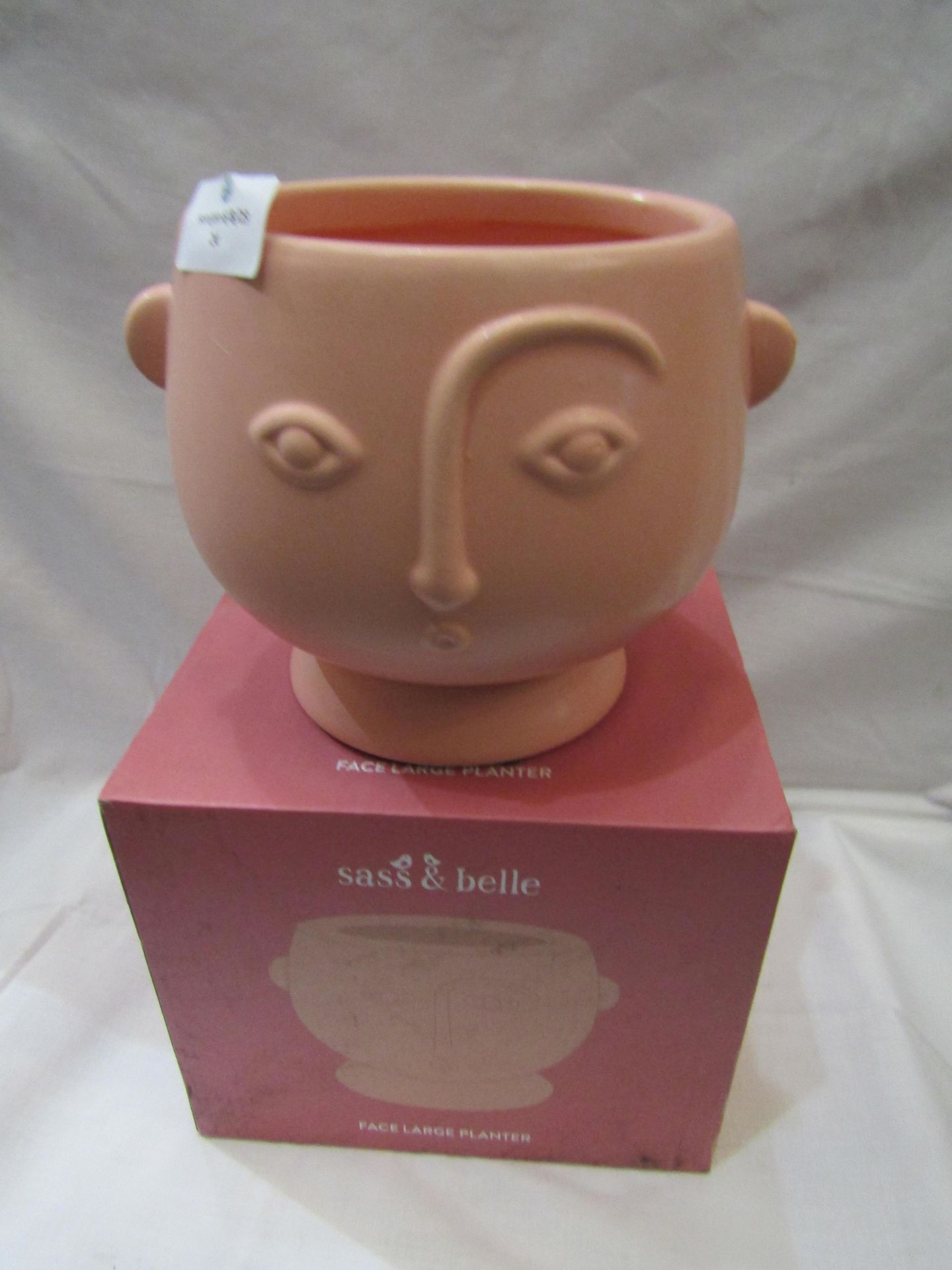 Sasse & Belle Large Face Planter Approx 16CM New & Boxed