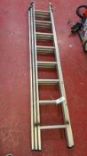 Wickes professional three section extension ladder