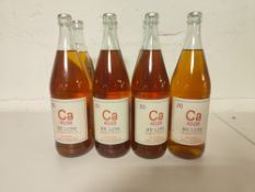 (7) Bottles of Ca 40.08 Nu Litr Orange Puglia Progetto Calcarius