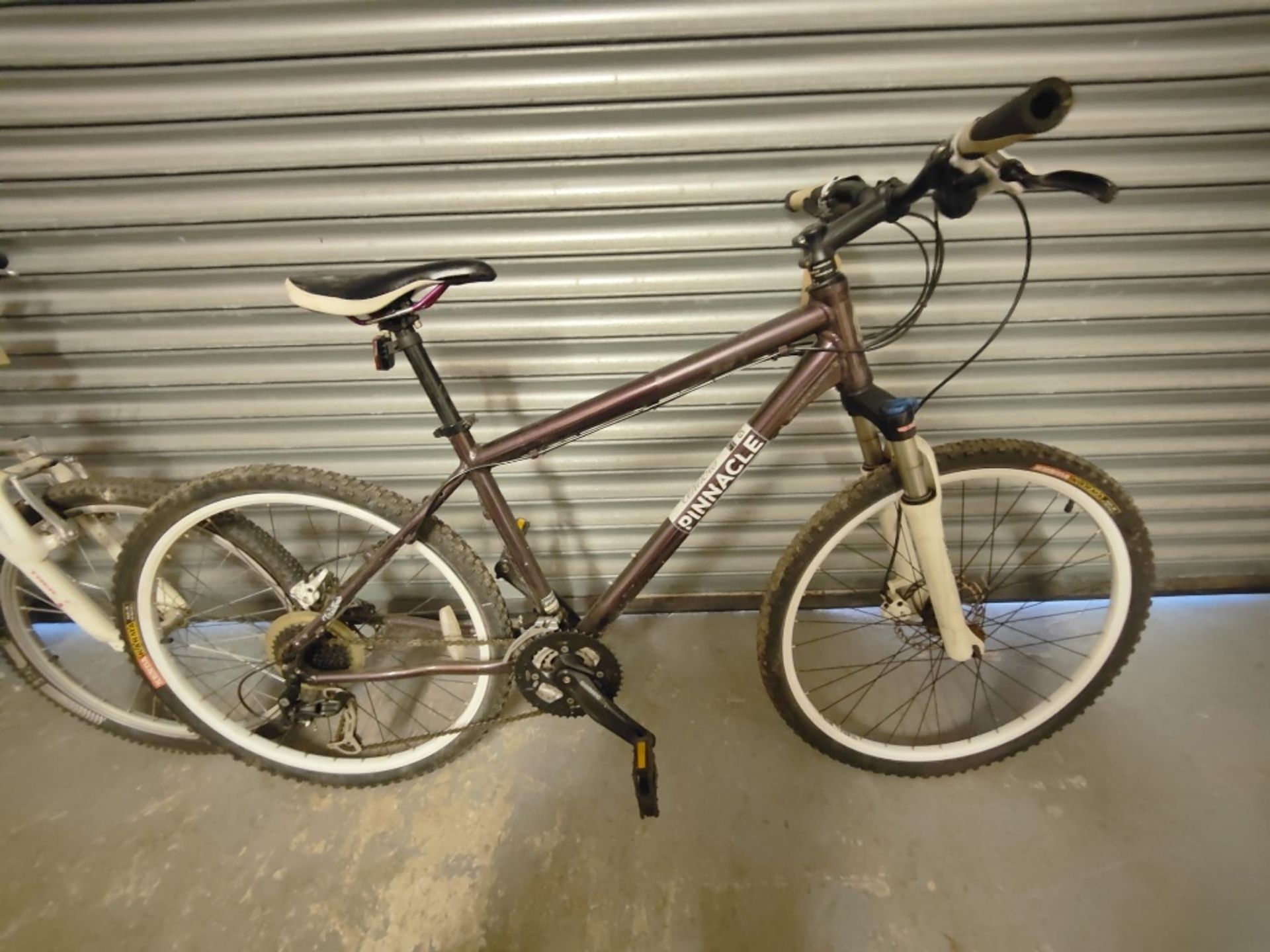 Childrens Pinnacle Bicycle