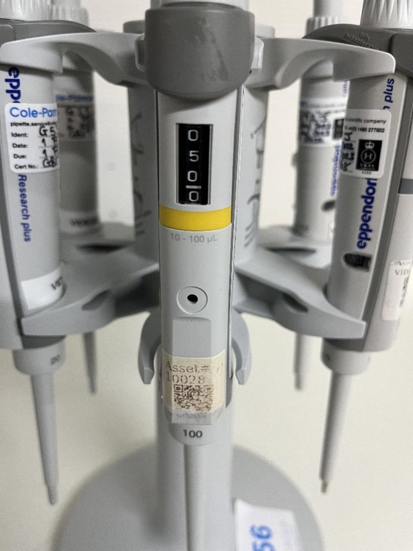 Eppendorf Pipette Carousel 2 with (6) Adjustable Volume Pipettes - Image 7 of 8