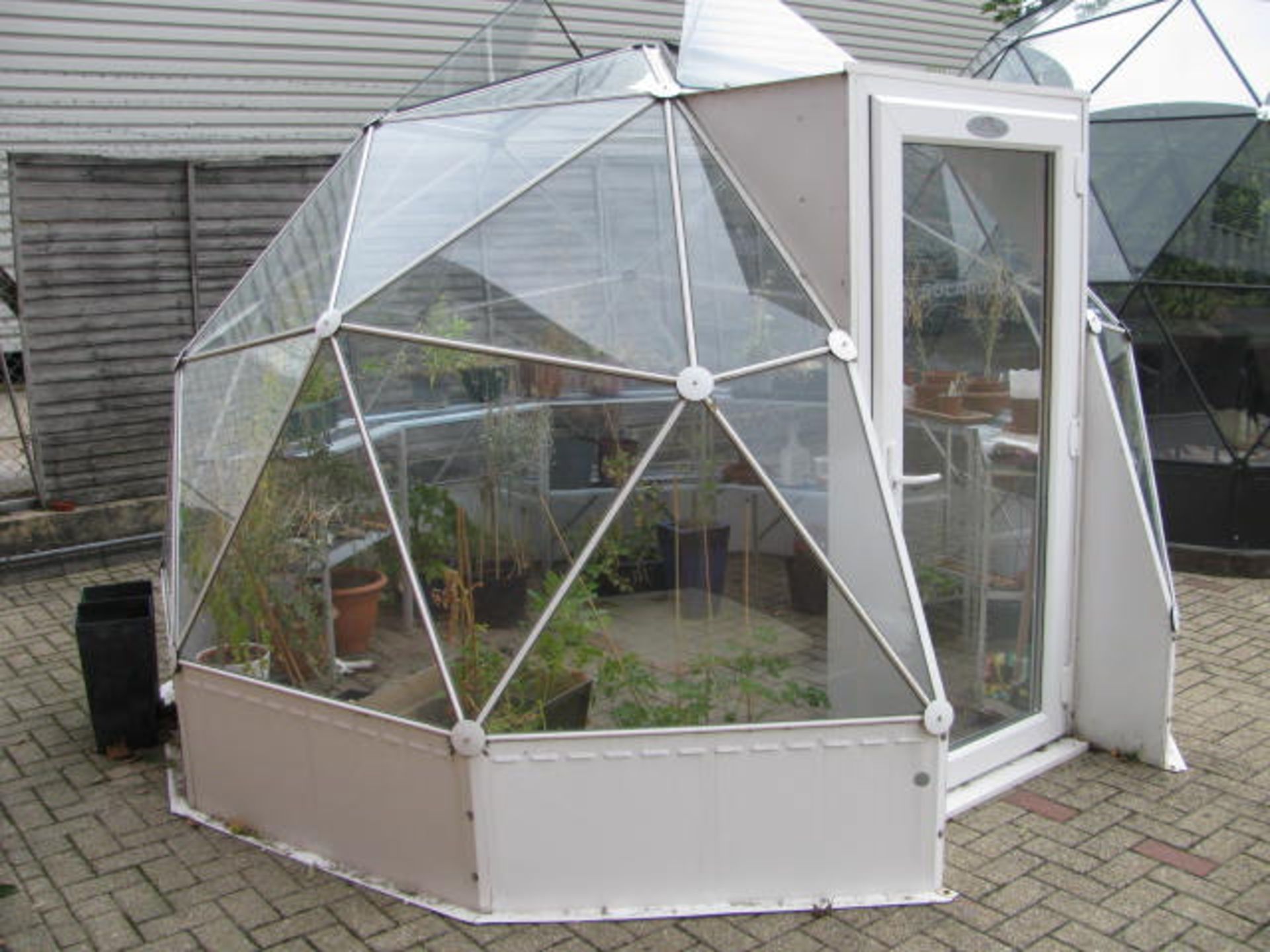 Geodesic dome green house - Image 2 of 7