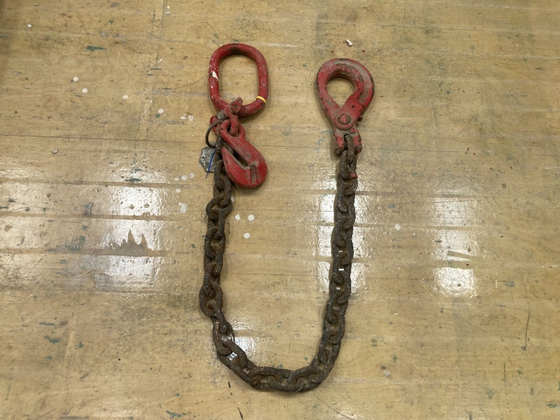 Safety Lifting 5.3T Single Leg Chain - Image 2 of 3