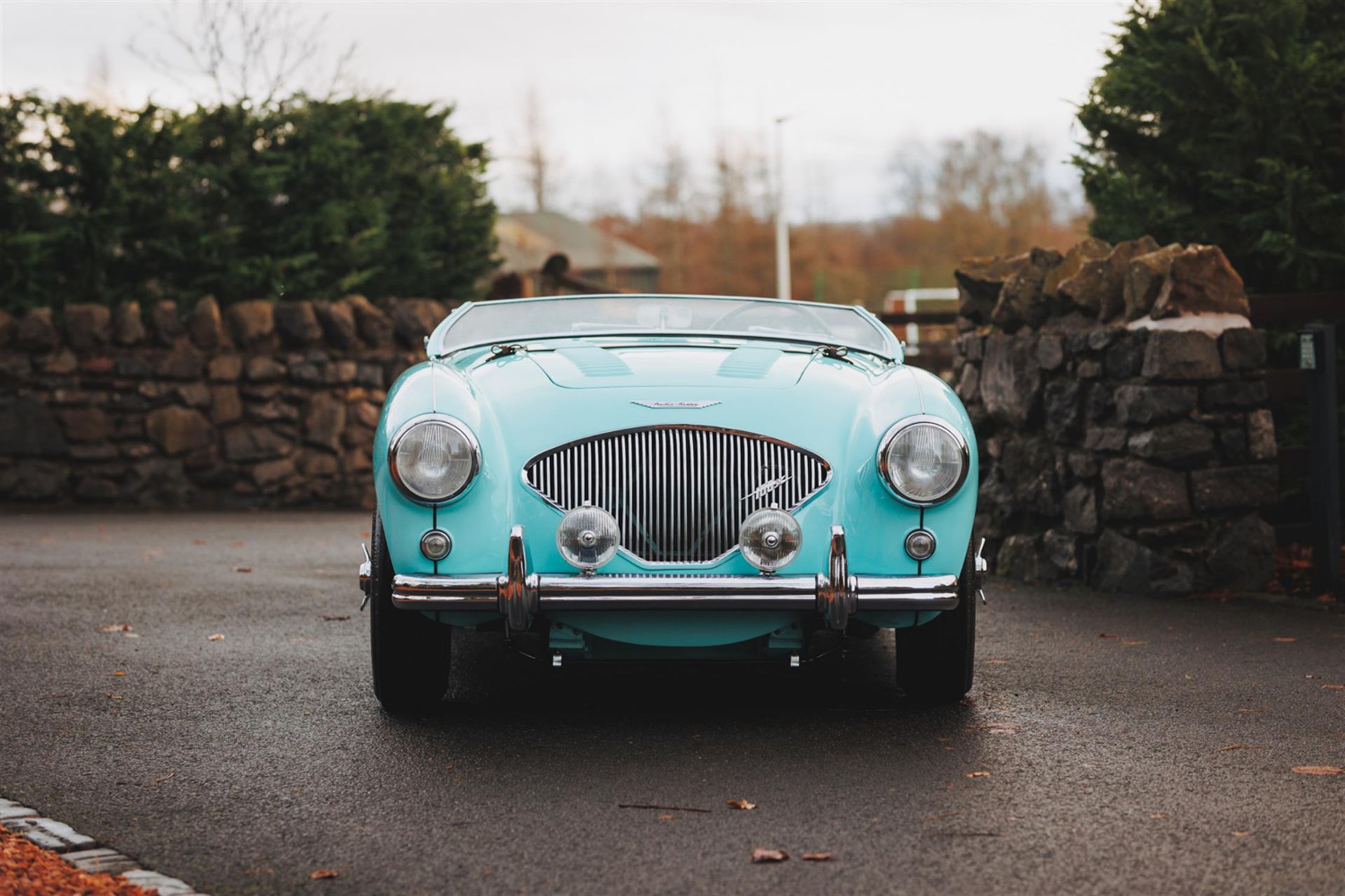 1956 Austin Healey 100M BN2 Factory-built - Image 4 of 8