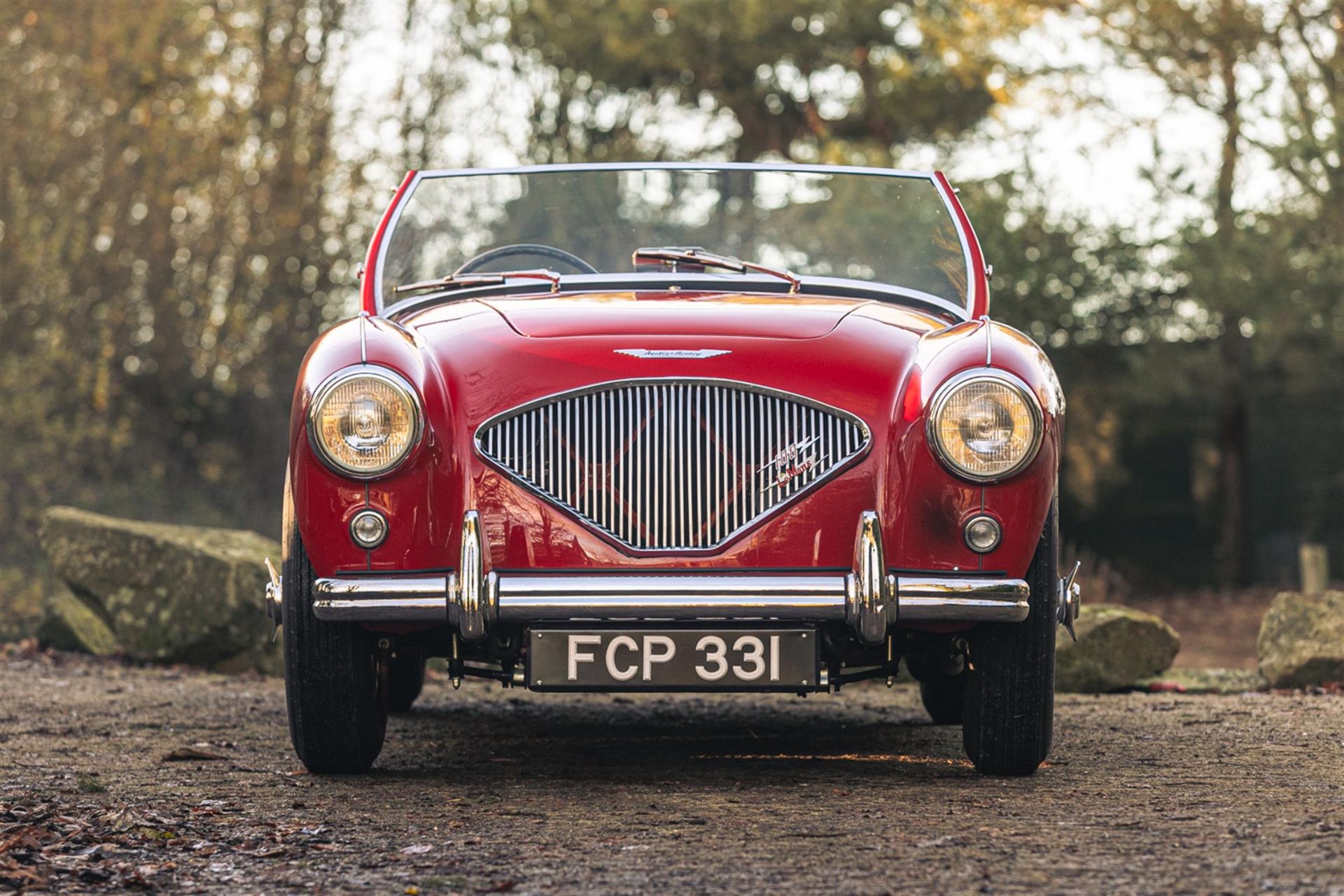 1954 Austin Healey BN1 (100/4) to 'M' Spec - Image 6 of 10