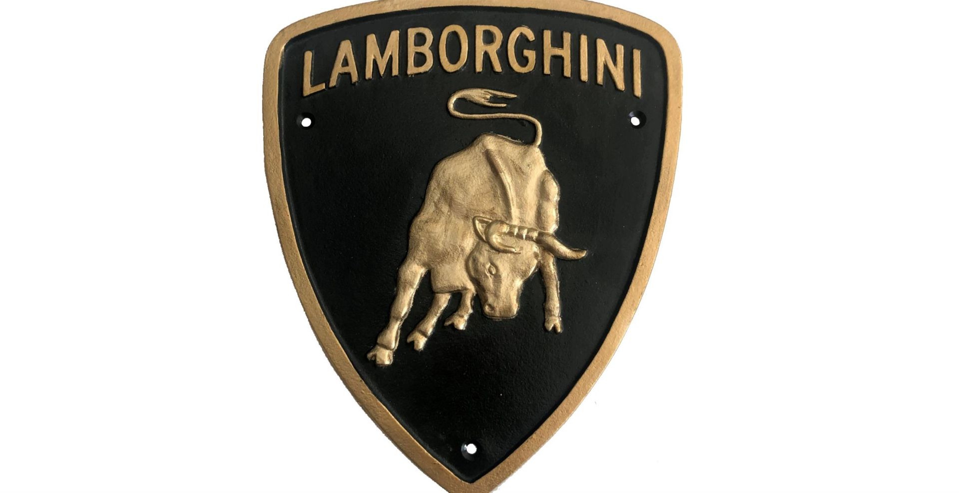 Lamborghini-style Wall Shield