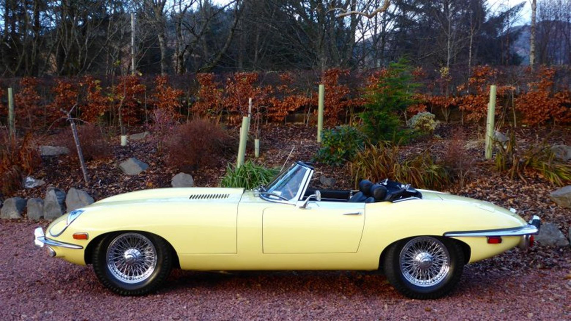 1968 Jaguar E-Type Series 2 4.2-Litre Roadster - Image 5 of 10