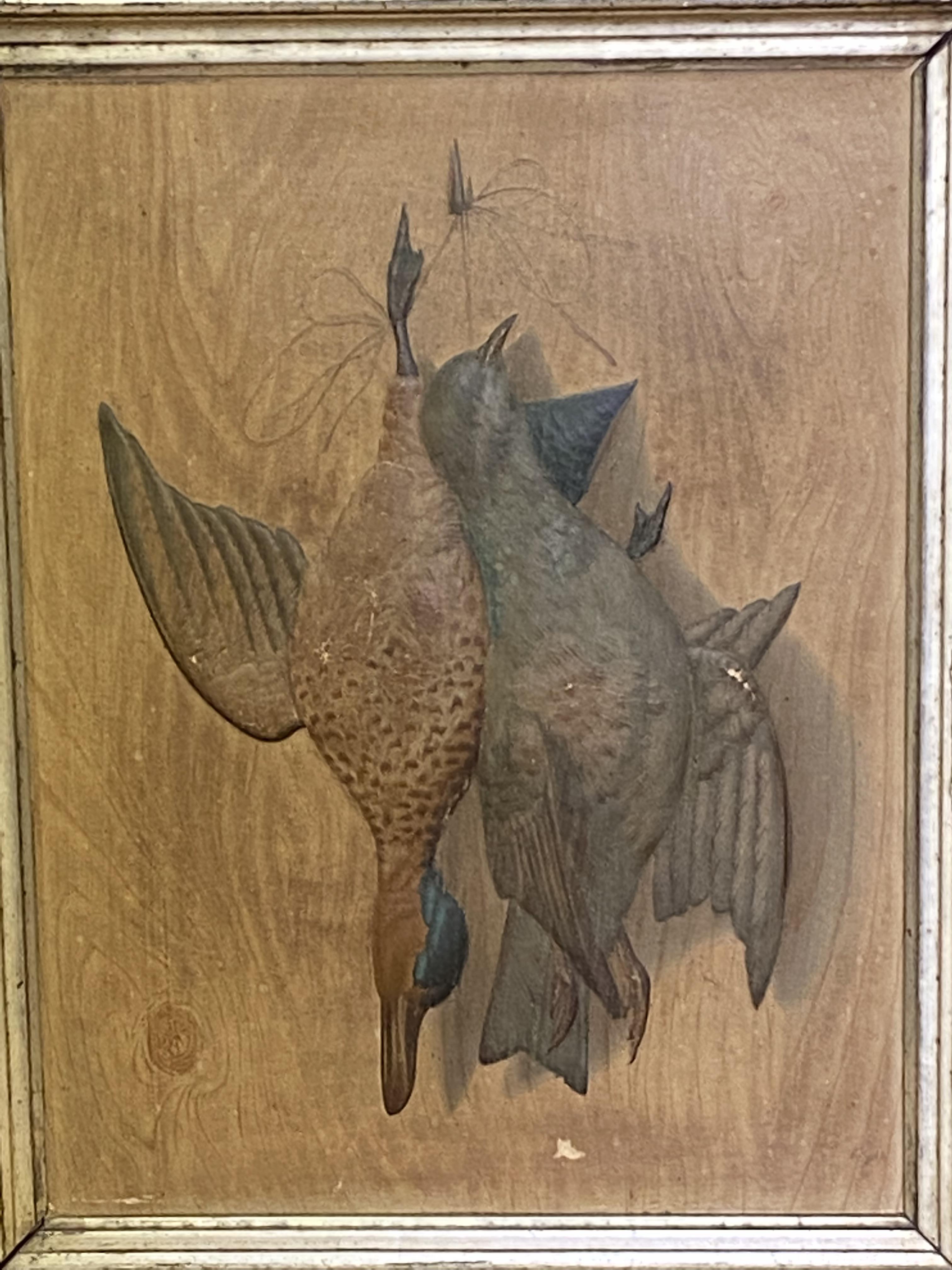 Two framed pictures of hanging birds