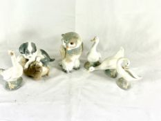 Four Nao geese, an owl and dogs playing