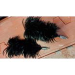 Pair of black goose feather plumes