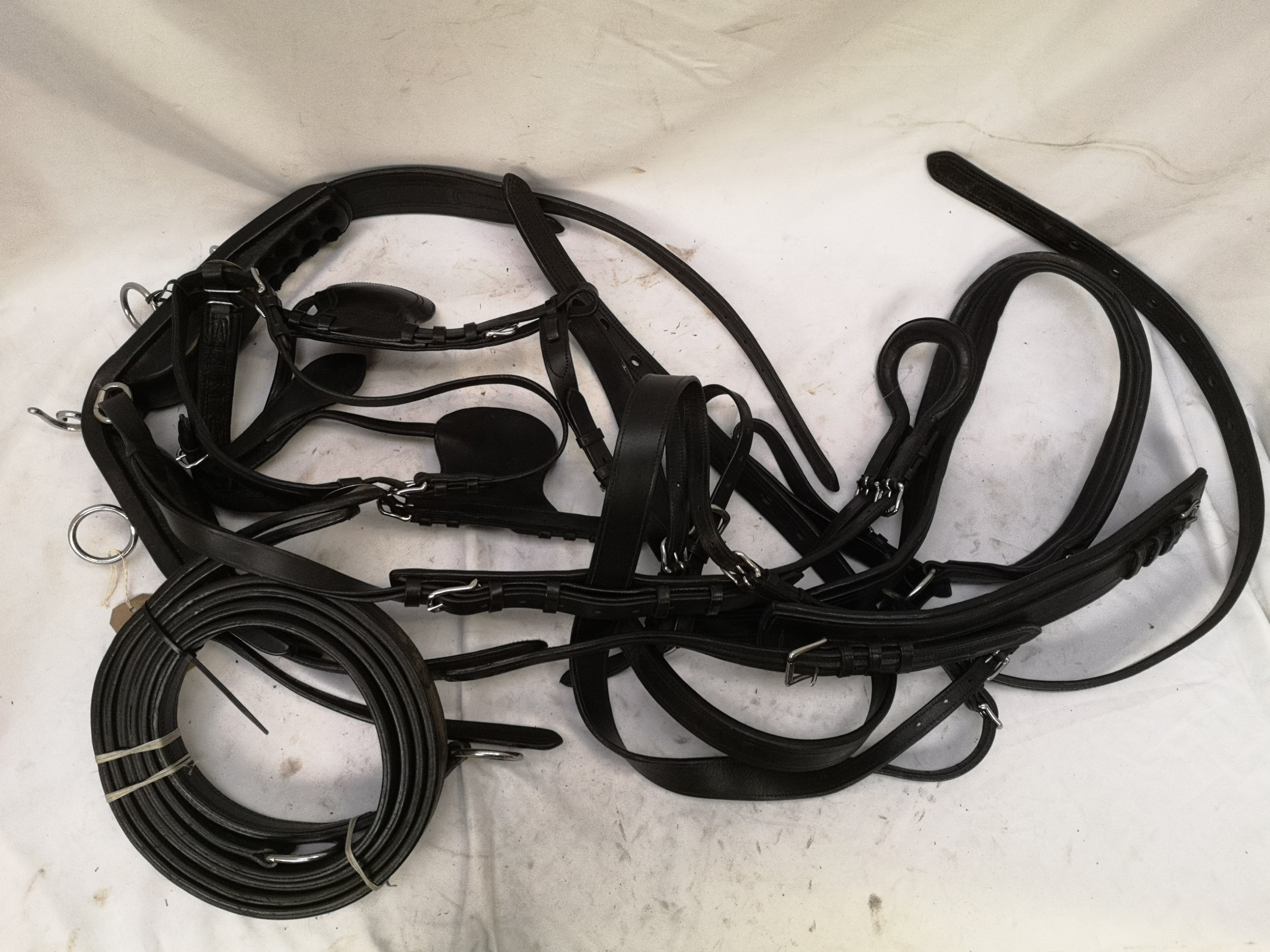 Set of PAIR harness, black and white metal with 22" collars. This lot carries VAT. - Image 4 of 9