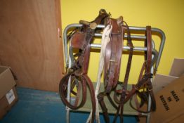 Set of brown breastcollar harness with brass buckles.