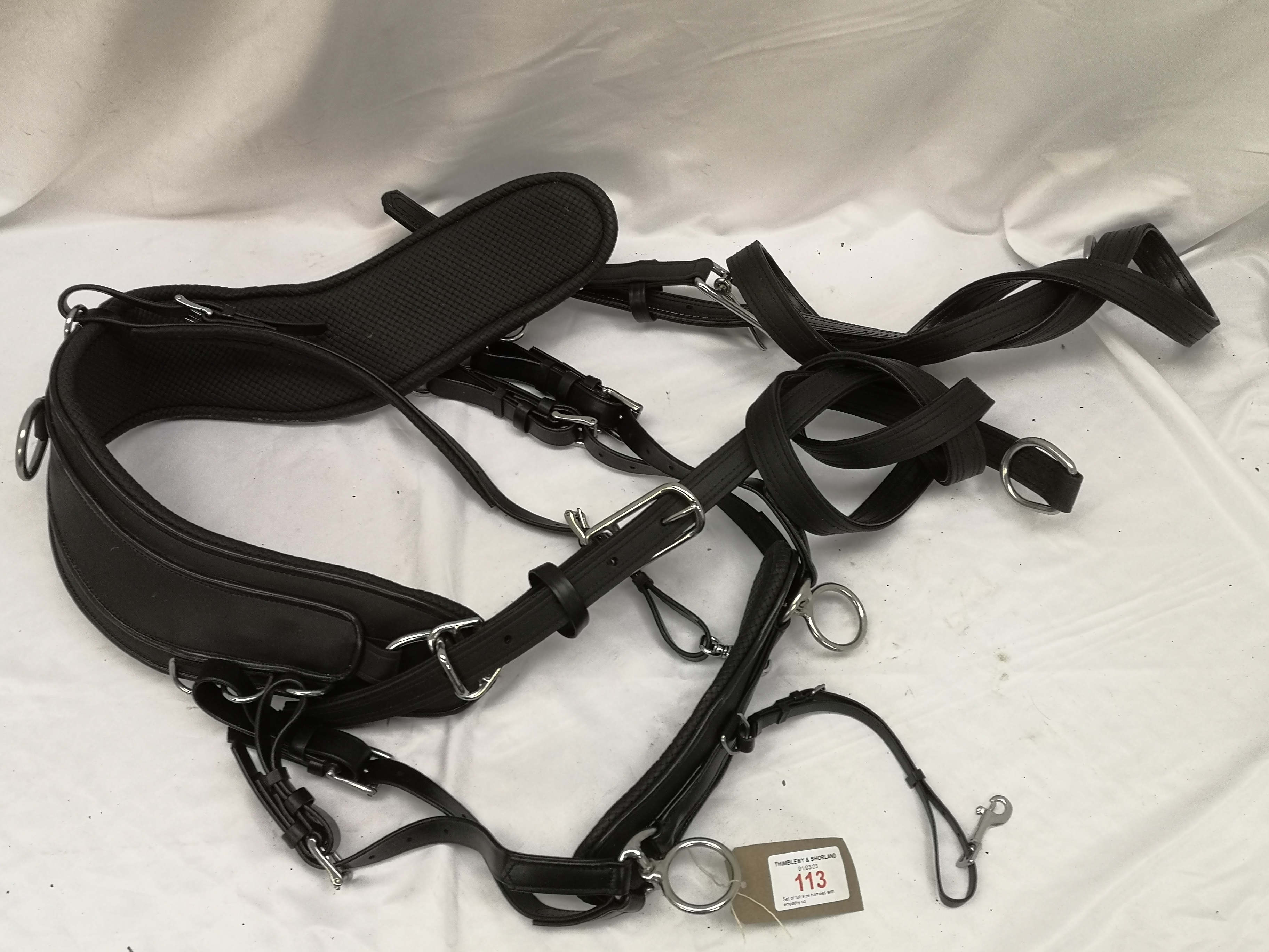 Set of full size harness with empathy collar. This lot carries VAT. - Image 6 of 7