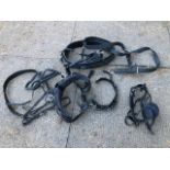 Zilco ZGB harness full size, very little use, blinkers are marked, no reins or breeching straps