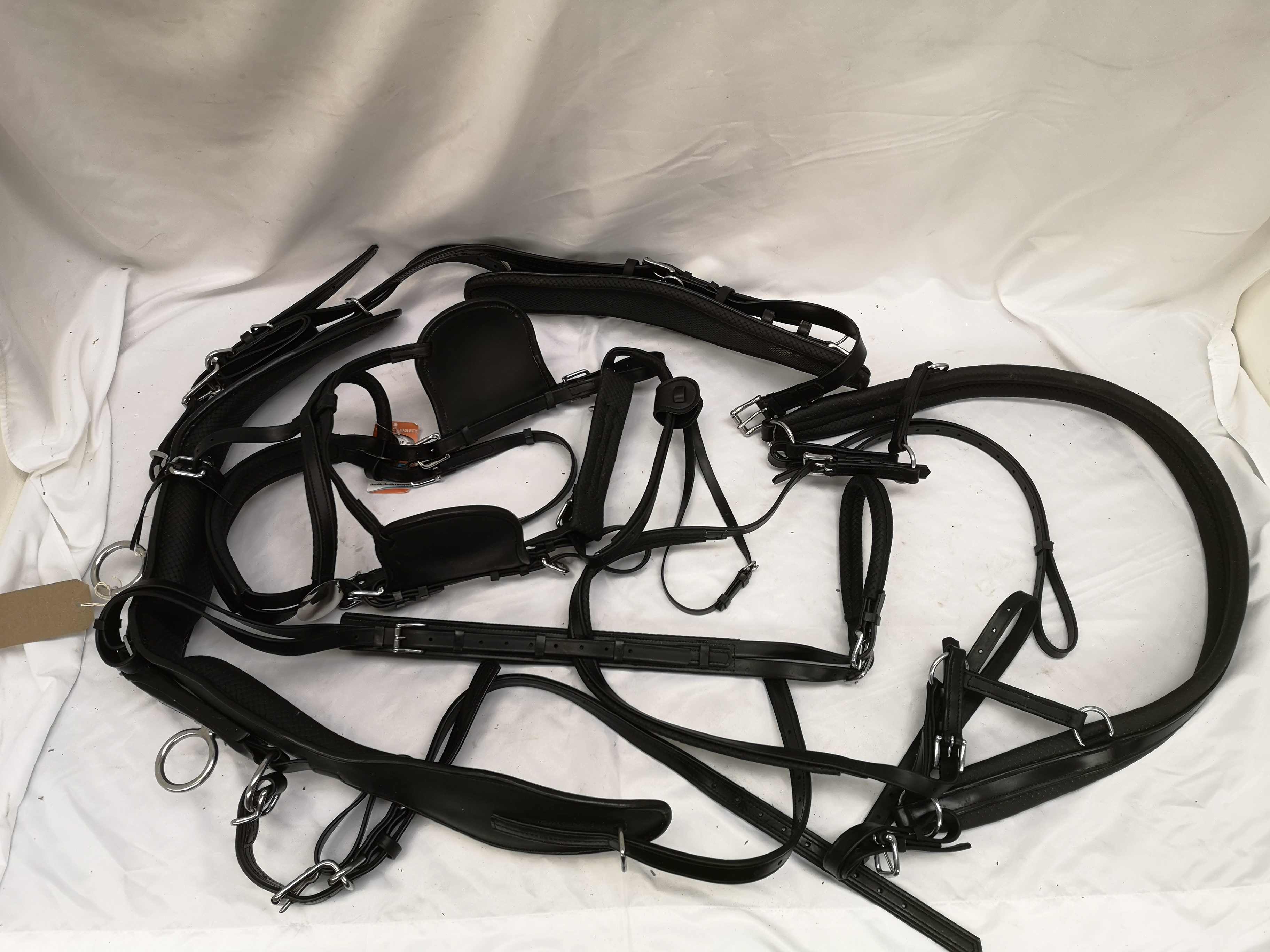 Set of full size harness with empathy collar. This lot carries VAT.