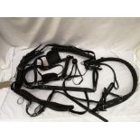 Set of full size harness with empathy collar. This lot carries VAT.