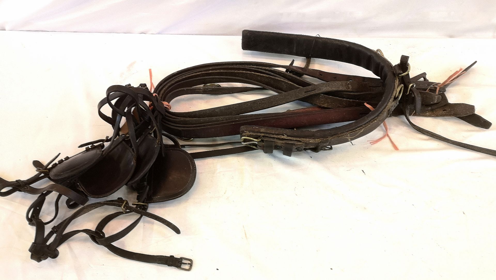 Set of buffalo harness to fit 13.2hh pony, with 2 bridles and 2 pairs of traces