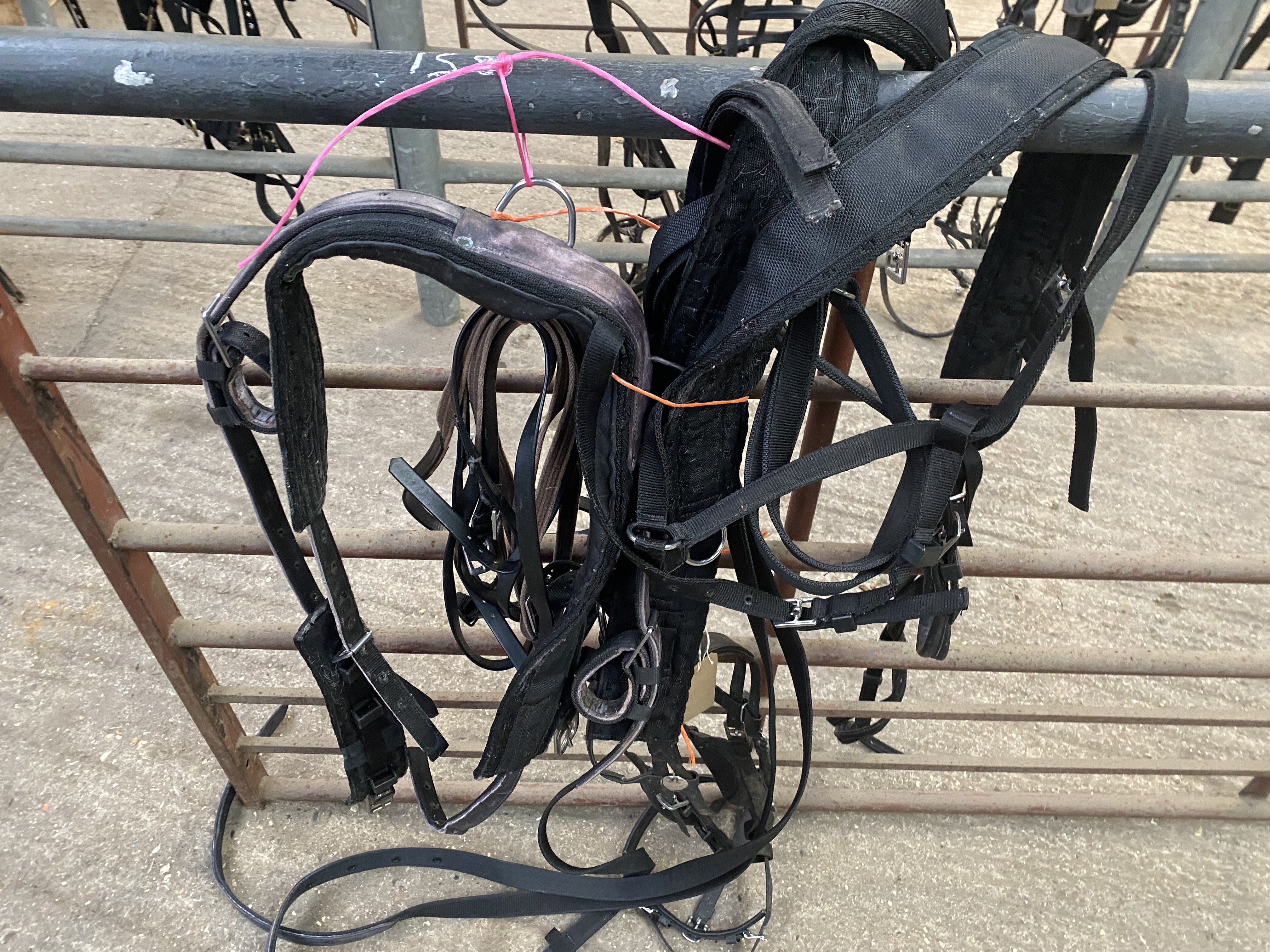 Set of cob size Tedex harness with black webbing. - Image 2 of 2