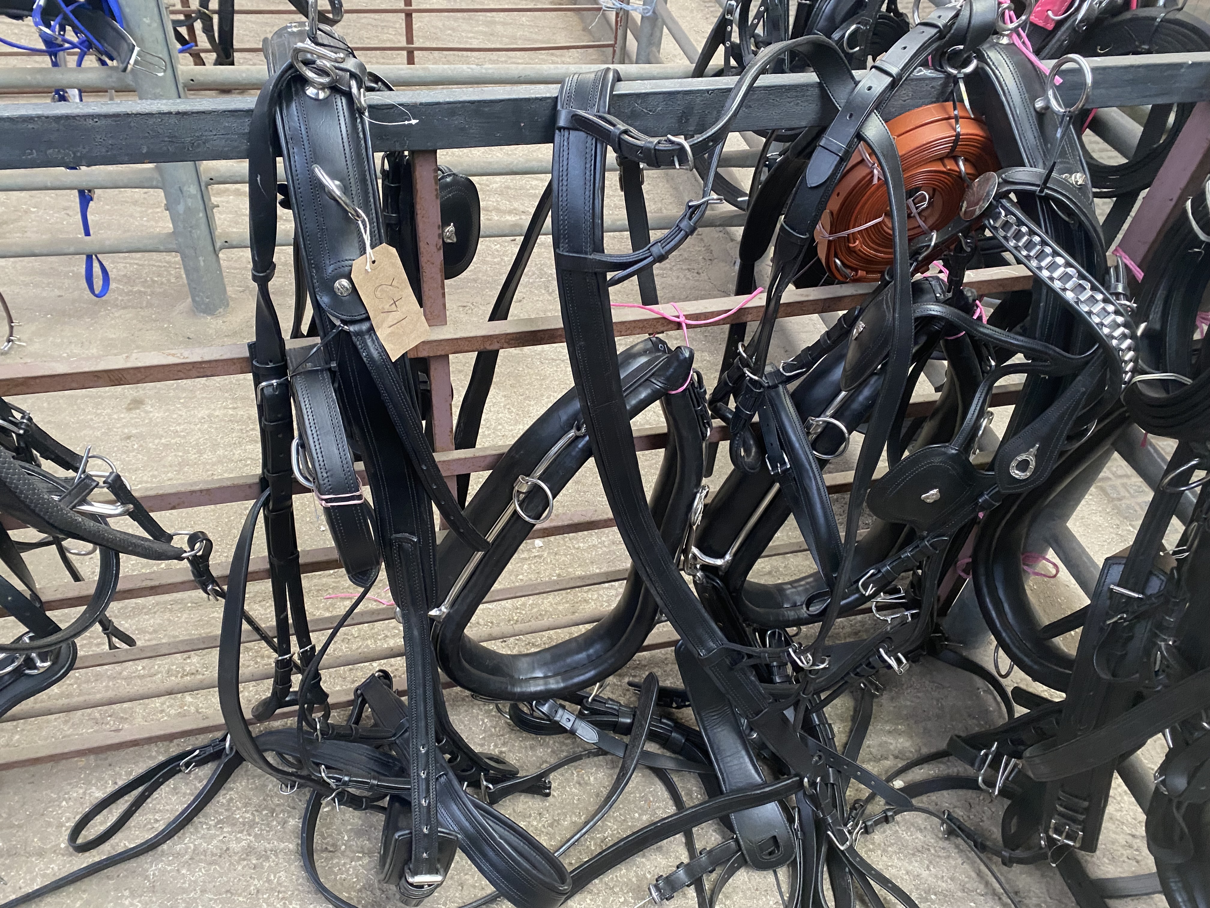 Set of PAIR harness, black and white metal with 23" collars. This lot carries VAT. - Image 2 of 4