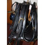 English leather breastcollar harness with brass fittings, cob size, no reins.