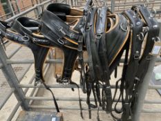 Full set TEAM brollar harness. Black/tan leather with nickel fittings to suit 16-18hh.